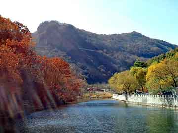 新澳天天开奖资料大全旅游团，重口味小说推荐